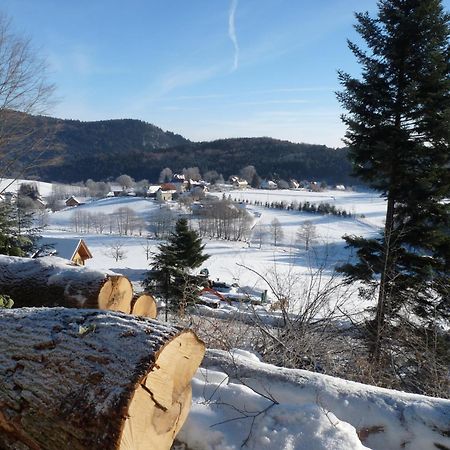 Apartamento Locations Dupertuis Alsace Le Hohwald Exterior foto