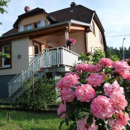 Apartamento Locations Dupertuis Alsace Le Hohwald Exterior foto