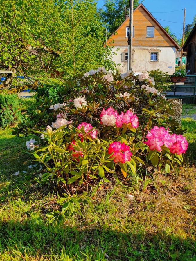 Apartamento Locations Dupertuis Alsace Le Hohwald Exterior foto
