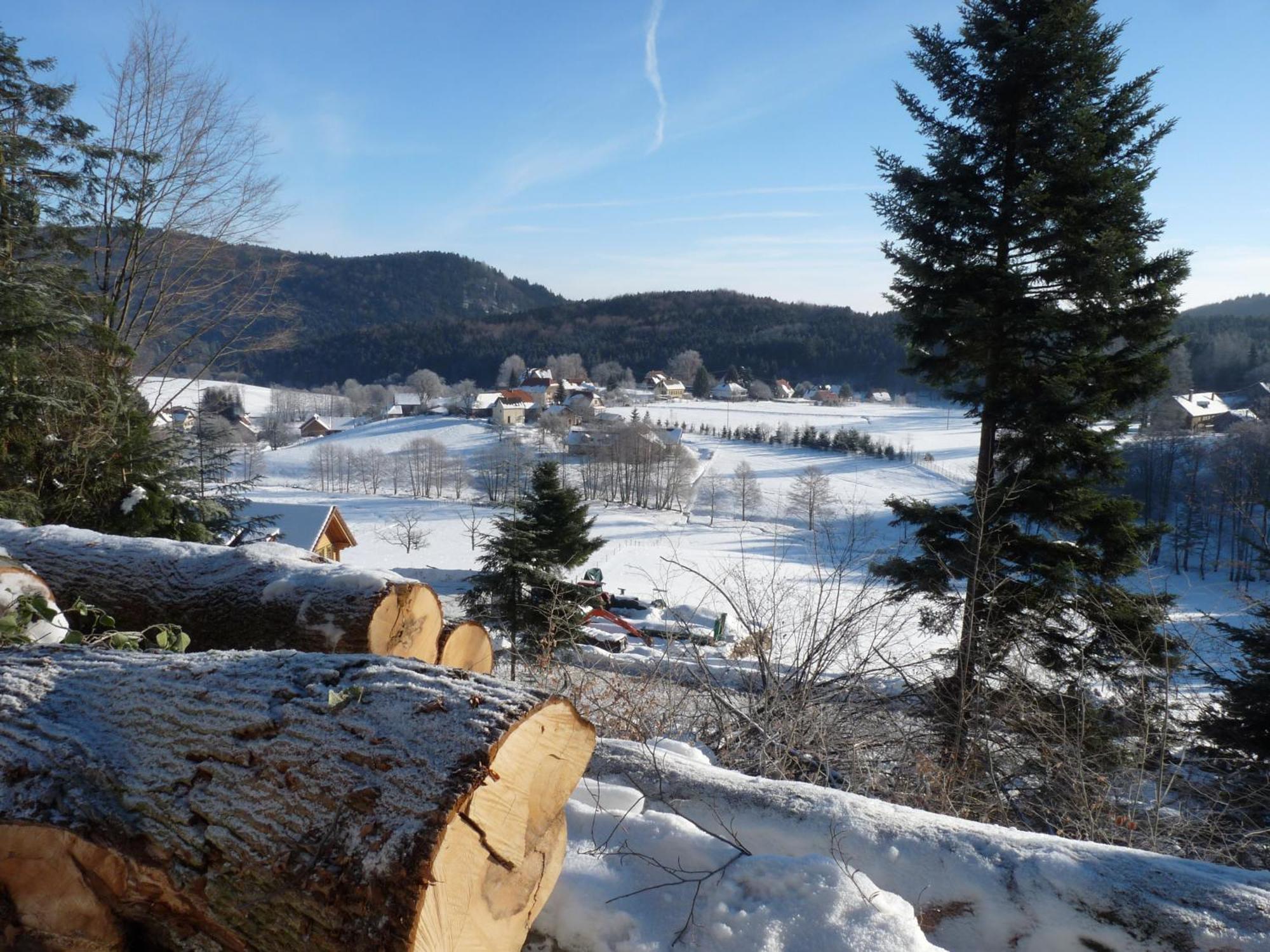 Apartamento Locations Dupertuis Alsace Le Hohwald Exterior foto