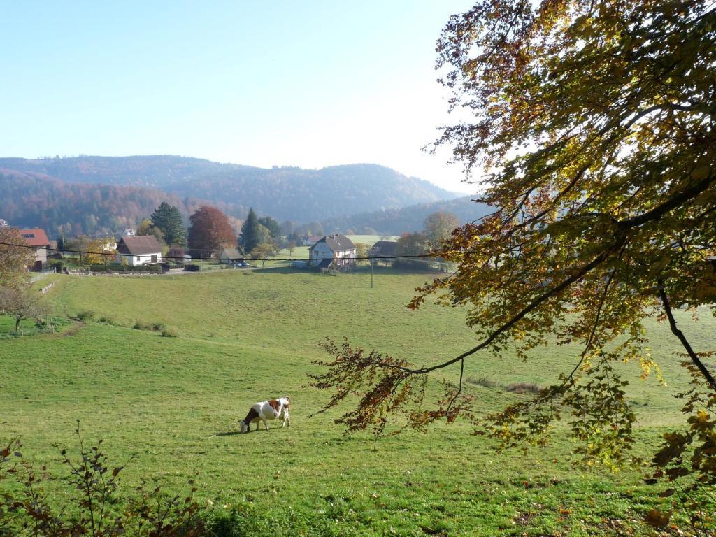Apartamento Locations Dupertuis Alsace Le Hohwald Habitación foto