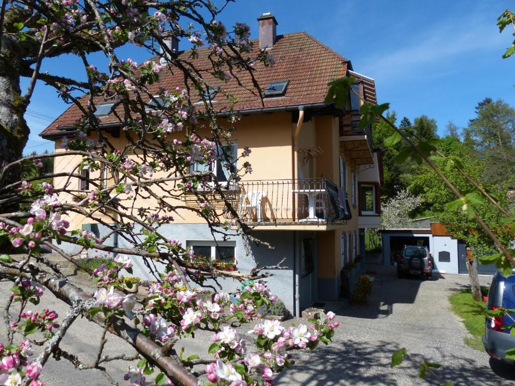 Apartamento Locations Dupertuis Alsace Le Hohwald Exterior foto