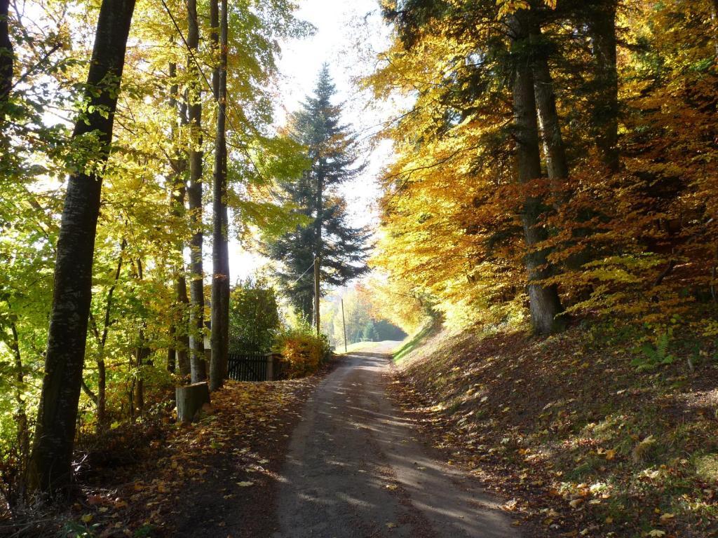 Apartamento Locations Dupertuis Alsace Le Hohwald Exterior foto