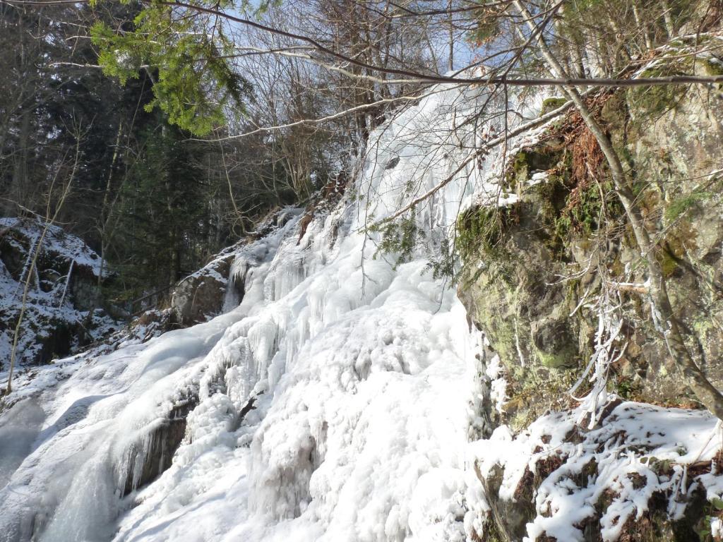 Apartamento Locations Dupertuis Alsace Le Hohwald Exterior foto