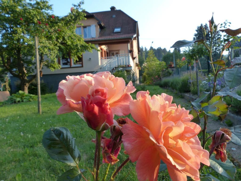 Apartamento Locations Dupertuis Alsace Le Hohwald Exterior foto