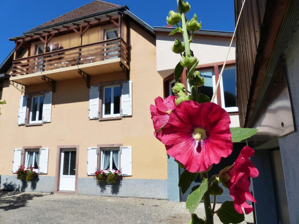 Apartamento Locations Dupertuis Alsace Le Hohwald Exterior foto